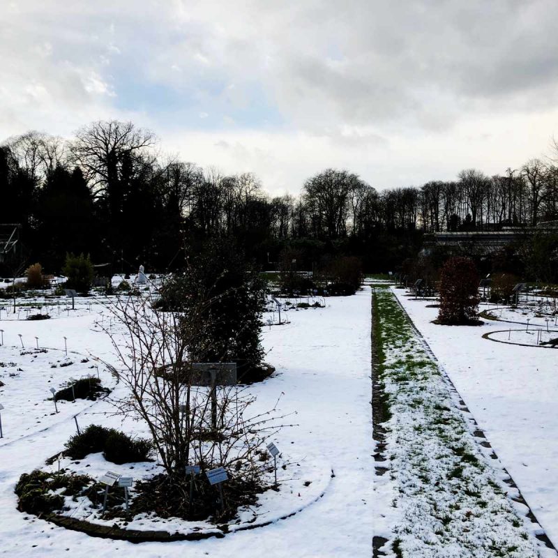 gartentechnik_com_rss_nachricht_288_gartenplanung-im-winter-800x800 gartentechnik_com_rss_nachricht_288_gartenplanung-im-winter-800x800